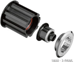 Dt-swiss Kit De Conversion Corps De Roue Libre CAMPAGNOLO 3 Cliquets/cliquet -Velo Fusion Promos Boutique 1800 3 Klinken