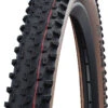 Schwalbe Racing Ray Evo Super Race 29" Addix Speed TLE Pneus Pliants