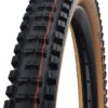 Schwalbe Big Betty Evo Super Gravity 29x2,40" Addix Soft E-50 Pneus Pliants