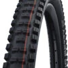 Schwalbe Big Betty Evo Super Trail 27,5x2,80" Addix Soft E-25 Pneus Pliants