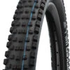 Schwalbe Pneu Pliant Wicked Will Performance Addix 29x2,40" E-50